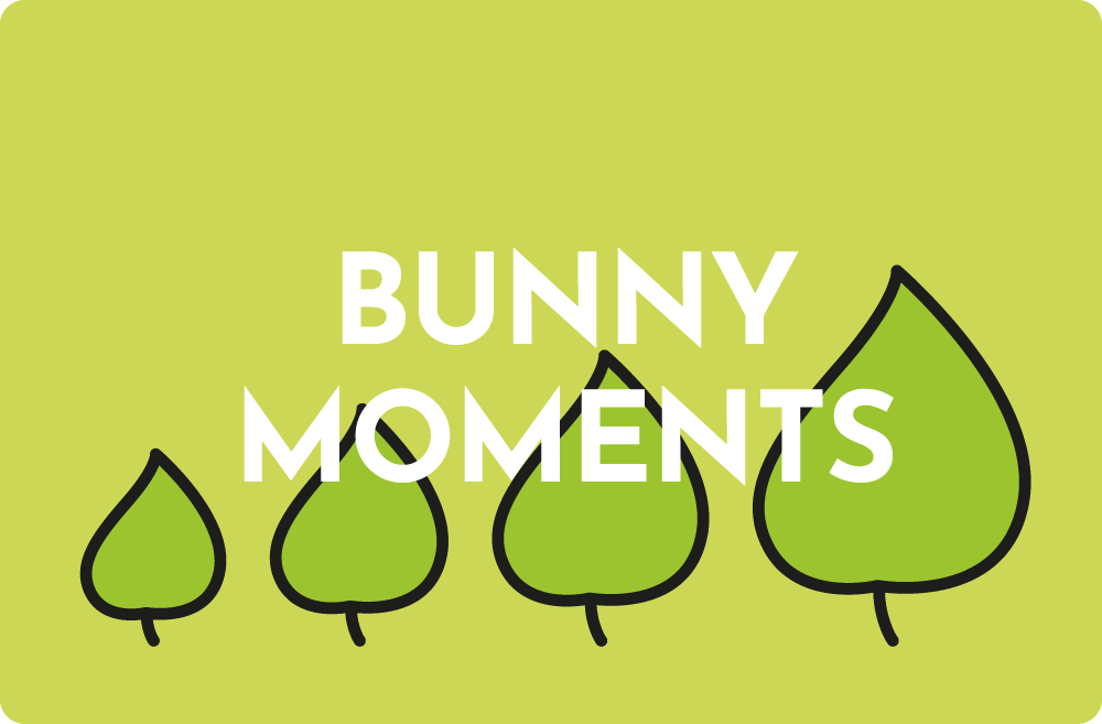 Bunny moments