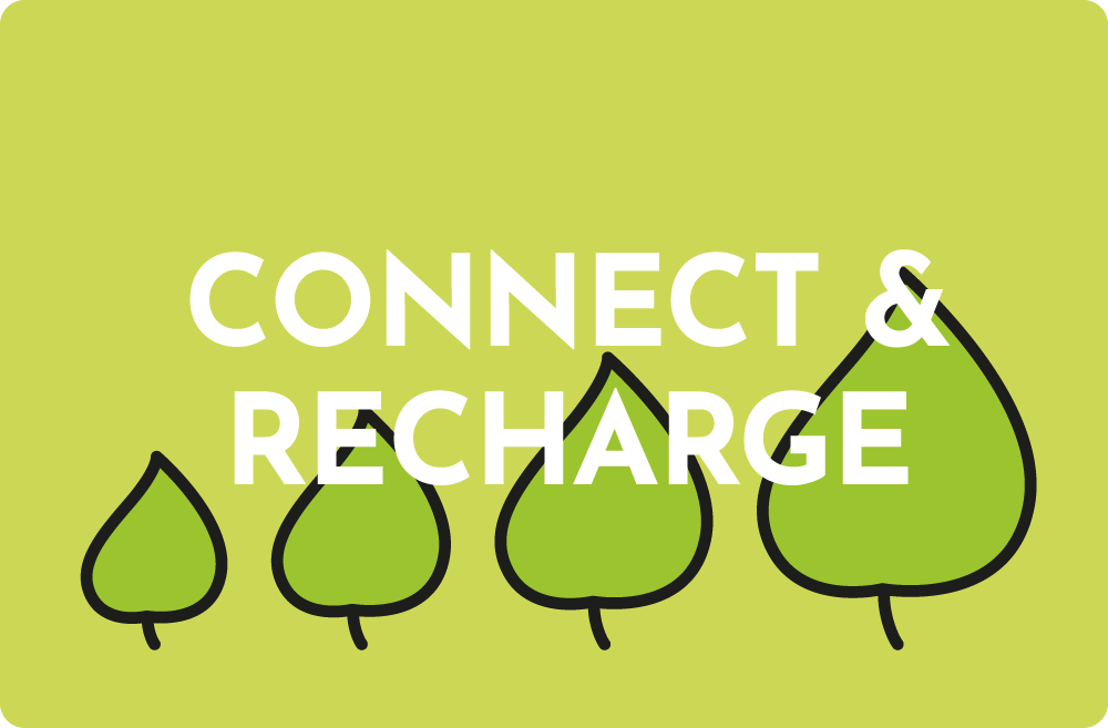Recharging. Connect and recharge